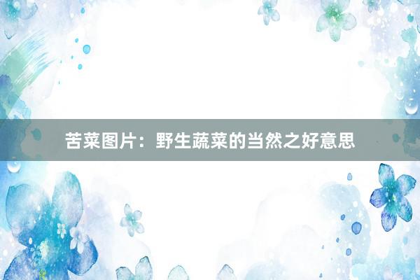 苦菜图片：野生蔬菜的当然之好意思