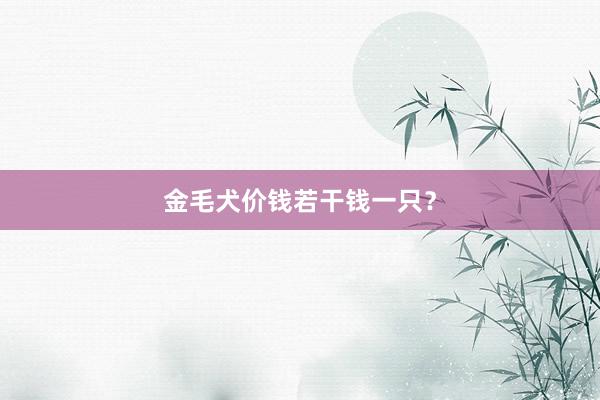 金毛犬价钱若干钱一只？