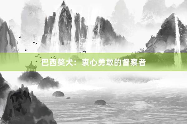 巴西獒犬:衷心勇敢的督察者